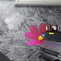 オリジナル壁紙